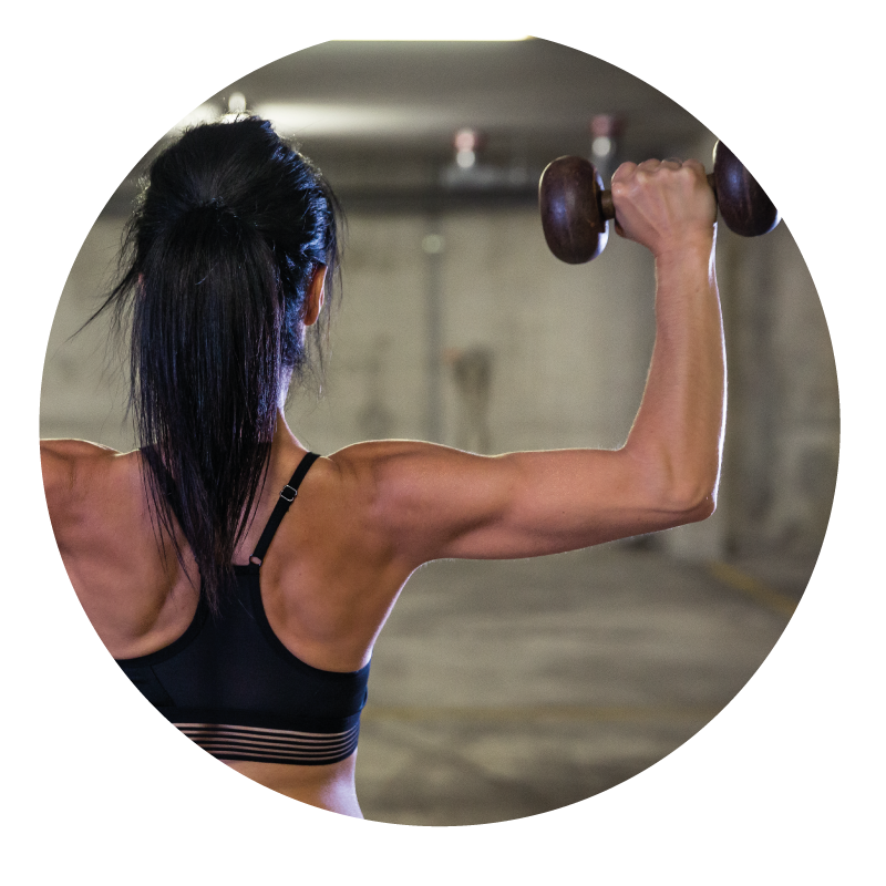 CI&Co_sphere_musculation